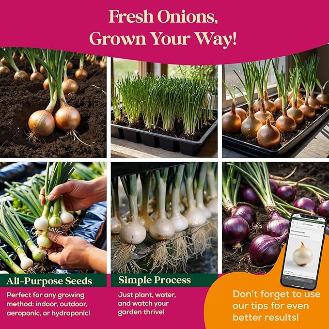 10 Gourmet Onion Seeds for Planting Variety Pack - 2,900+ Non-GMO Heirloom Vegetable Seeds for Growing Indoor & Outdoor: Red Burgundy, Leek, Walla Walla, Grano White & Yellow Sweet Spanish-PawvioPets