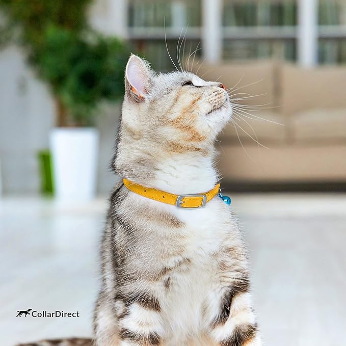 CollarDirect Leather Cat Collar with Removable Bell – Safety Kitten Collar with Elastic Strap (Yellow, 15 - 18 cm)-PawvioPets