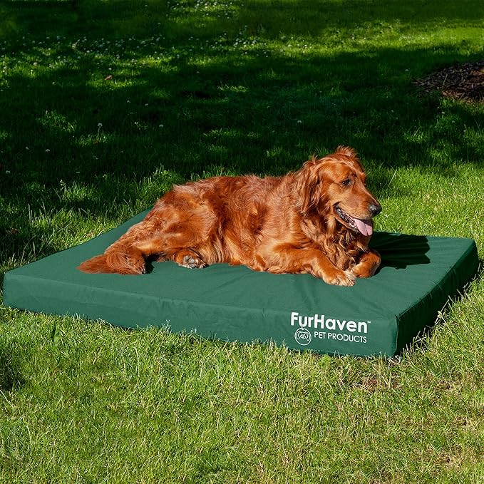 Furhaven Water-Resistant Cooling Gel Dog Bed for Large Dogs w/ Removable Washable Cover, For Dogs Up to 95 lbs - Indoor/Outdoor Logo Print Oxford Polycanvas Mattress - Forest, Jumbo/XL-PawvioPets