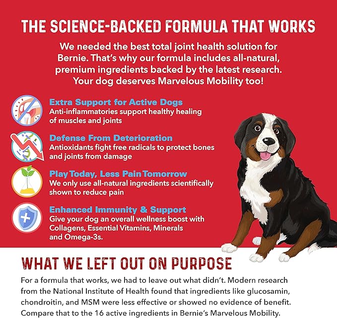 Bernie's Marvelous Mobility - Daily Total Joint Support for Dogs - 90 Soft Chews - Maintain & Rebuild Mobility, Supports Joint Tissue Health-PawvioPets