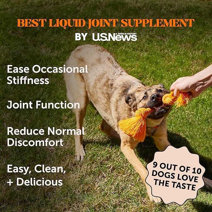 Dog Joint Supplement with Salmon Oil for Dogs - Ease Stiffness, Reduce Discomfort & Support Joint Mobility Liquid Supplement, Dog Food Topper Bone Broth with Glucosamine for Dogs (12 oz)-PawvioPets