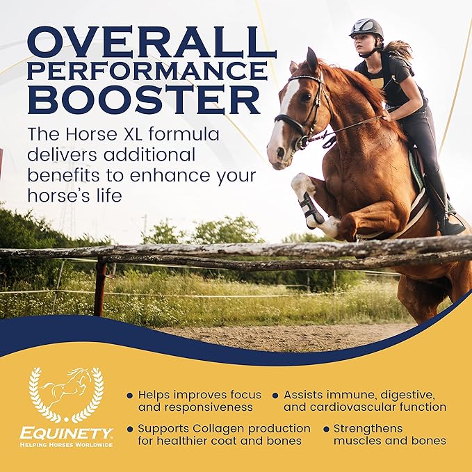 100-Day Supply Horse XL Supplements – Horse Care Weight Gain Supplement W/ 8 Amino Acids - No Soy or Sugar Coat Defense for Horses - Joint Supplement, Equine Supplies & Hoof Supplements-PawvioPets