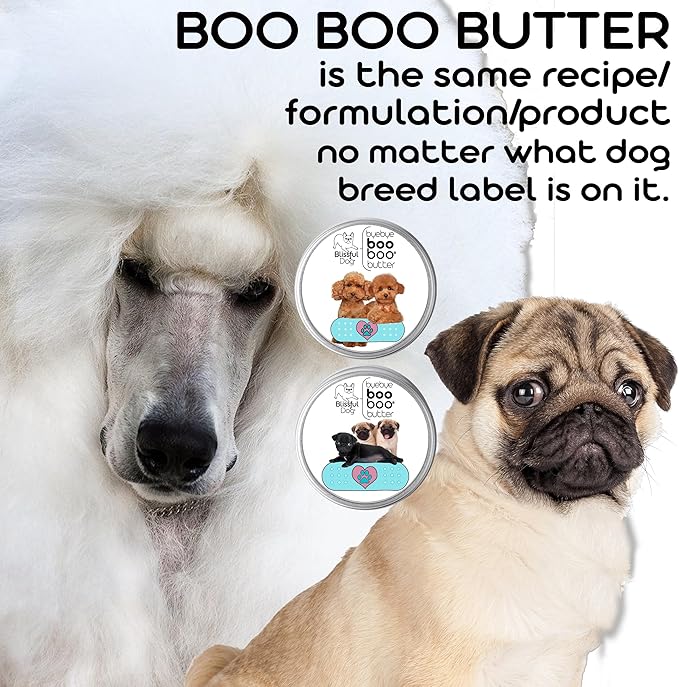 English Toy Spaniel Boo Boo Butter, 4-Ounce-PawvioPets