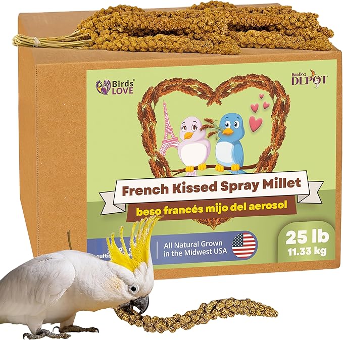 Birds LOVE French Kissed Spray Millet for Birds - Parakeets, Cockatiels, Lovebirds, Finches, Budgies, Canaries, Cockatoos - Natural & Healthy Bird Millet - Parakeet Food & Treats for all Parrots 25lbs-PawvioPets