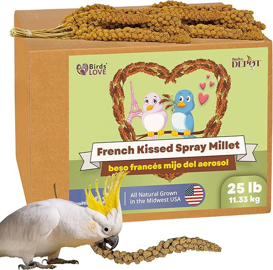 Birds LOVE French Kissed Spray Millet for Birds - Parakeets, Cockatiels, Lovebirds, Finches, Budgies, Canaries, Cockatoos - Natural & Healthy Bird Millet - Parakeet Food & Treats for all Parrots 25lbs-PawvioPets