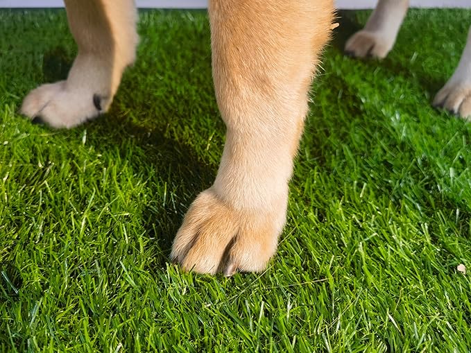 Artificial Grass Turf Pad for Dog Potty Training 22 x34 in (Replacement Grass)-PawvioPets
