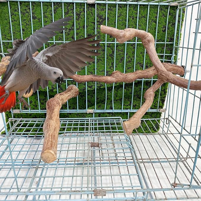 Allazone 4-Piece Bird Perch - Natural Grapevine Stick Swing Chewing Toys for Parrot Cages, Cockatiels, Parakeets, Finches-PawvioPets