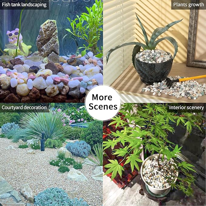 2lb Succulent and Cactus Gravel Pebbles 1/5-3/8 Inch Natural Decorative Polished Stones River Rocks for Plants, Vases, Aquariums, Terrarium and Outdoor Gardening, Mixed Color-PawvioPets