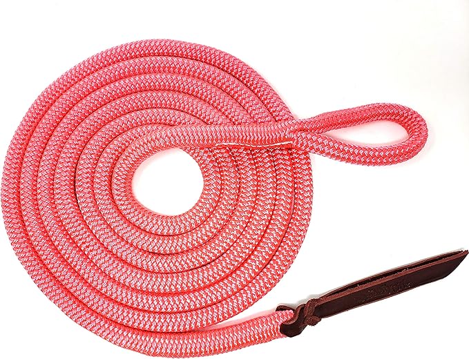 Double Braid Lead Rope with Eye Splice Loop, 12-14FT Lengths (Pink, 12 ft.)-PawvioPets