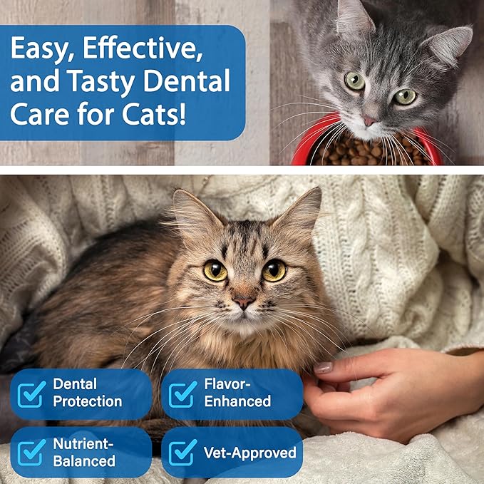 Cat Dental Care Powder Bad Breath Treatment for Cats Teeth, Mouth, Gums & Gut, Plaque Off,Tartar Control, Help Feline Gingivitis and Stomatitis, with Natural Extracts & Probiotics-PawvioPets