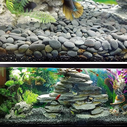 18 Pounds Natural River Rocks Mexican Beach Pebbles for Garden Landscape Stone Paving Stone Grey (1Inch)-PawvioPets