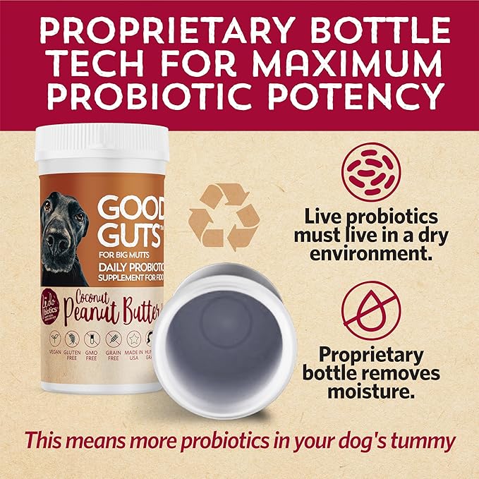 Fidobiotics Good Guts for Big Mutts Probiotic for Dogs, 12 Billion CFUs, 11 Strains, 5 Digestive Enzymes, 2 Prebiotics, Digestive Gut Health for Dogs, Adult & Puppy Probiotics Supplements (20 Days)-PawvioPets