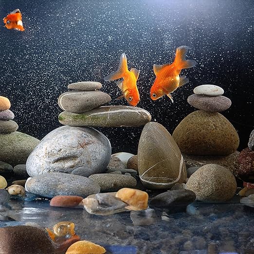 40lbs Large River Rocks for Landscaping, 3-4 Inch Natural Unpolished Bulk Pebbles, Hand-Picked Premium Stones for Garden Design Fish Tank, Flower Pots, Pathways and Backyard, Mixed Color-PawvioPets