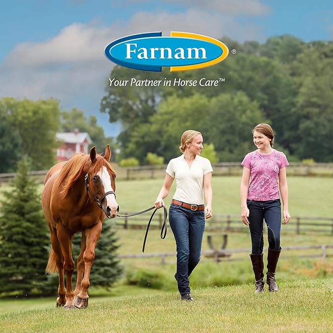 Farnam Endure Sweat-Resistant Fly Spray for Horses, Protects Against Lyme Disease, 15 oz-PawvioPets