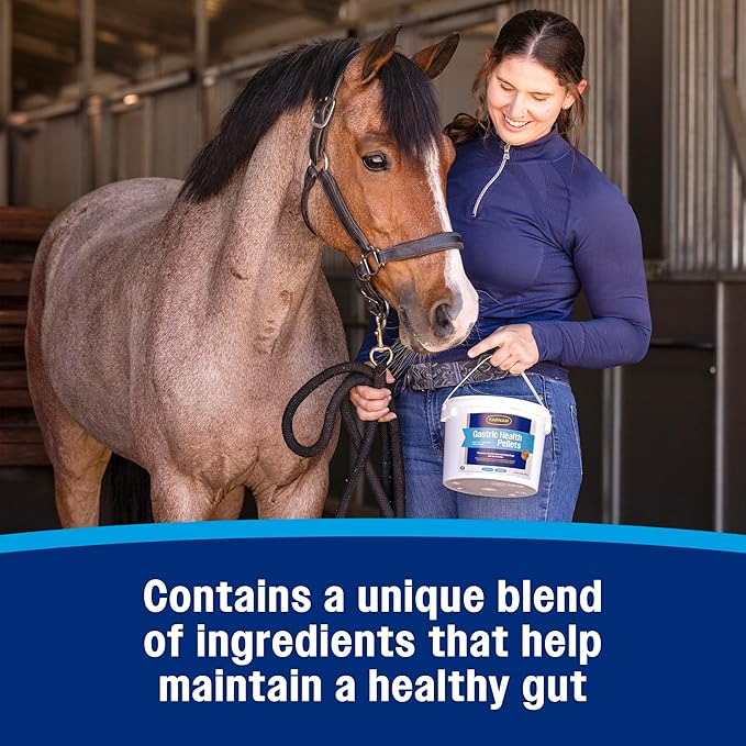 Farnam Gastric Health Pellets, Daily Gut and Digestive Health Supplement for Horses Helps Maintain a Healthy Gastrointestinal Tract and Gut Function-PawvioPets