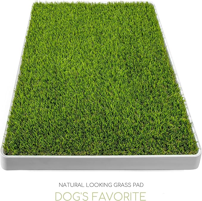 Dog Grass Pad with Tray, Dog Litter Box, Porch Potty for Puppy Pee Training, Indoor Portable Fake Grass Pee Pad System, Artificial Grass + Pee Pad Holder-PawvioPets