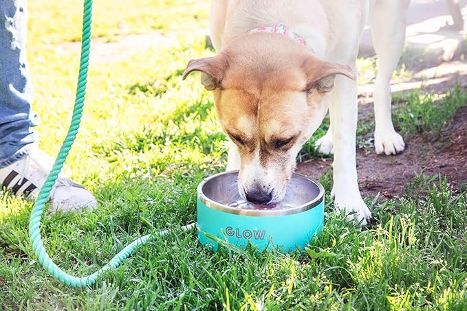 Dog Bowl, Dog Water Bowl Vacuum Insulated Stainless Steel, Non-Slip, Spill-Proof, Easy Clean, Keeps Water Cool, Cute, Stylish Pet Bowl, 64 oz, Light Blue, Modern-PawvioPets