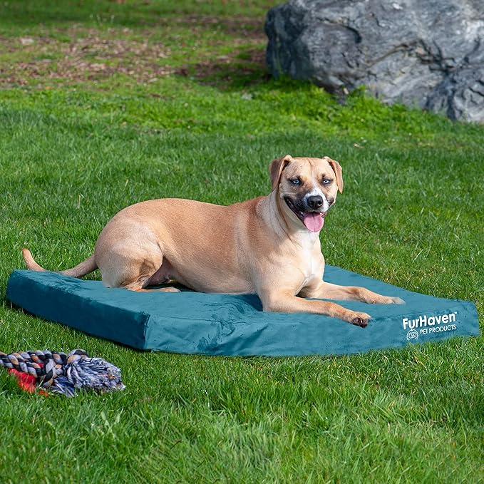 Furhaven Water-Resistant Cooling Gel Dog Bed for Large/Medium Dogs w/ Removable Washable Cover, For Dogs Up to 55 lbs - Indoor/Outdoor Logo Print Oxford Polycanvas Mattress - Deep Lagoon, Large-PawvioPets