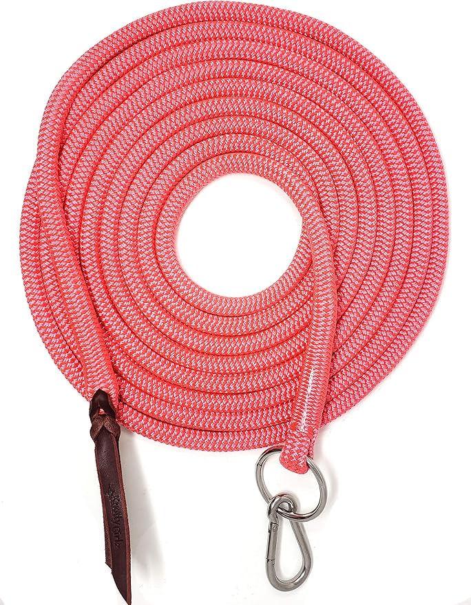 22' Long Line with SS O Ring and Carabiner (Pink)-PawvioPets