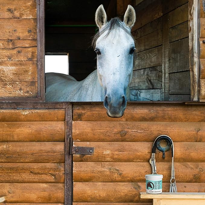 COAT DEFENSE Trouble Spot Drying Paste for Horses - Natural Equine Wound Care That Provides Safe & Effective Relief from Scratches, Sweet Itch, Summer Sores, Proud Flesh, Mud Fever, Girth Rot (10 Oz)-PawvioPets