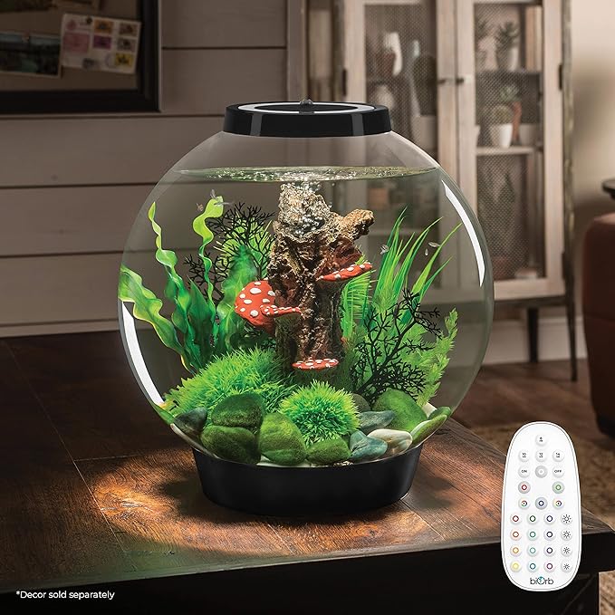 biOrb Classic 30 Acrylic 8-Gallon Aquarium with Multi-Color Remote-Controlled LED Lights Modern Tank for Tabletop Display, Black-PawvioPets