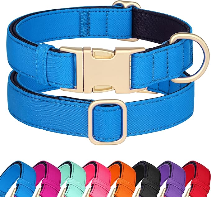 Didog Soft Padded Dog Collar for Large Dogs, Colorful and Durable Pet Collar with Quick Release Buckle, Light and Breathable for Daily Walking, Blue, L-PawvioPets
