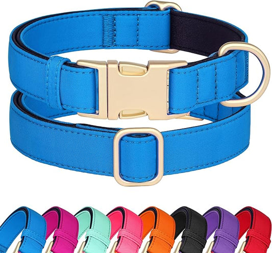 Didog Soft Padded Dog Collar for Large Dogs, Colorful and Durable Pet Collar with Quick Release Buckle, Light and Breathable for Daily Walking, Blue, L-PawvioPets
