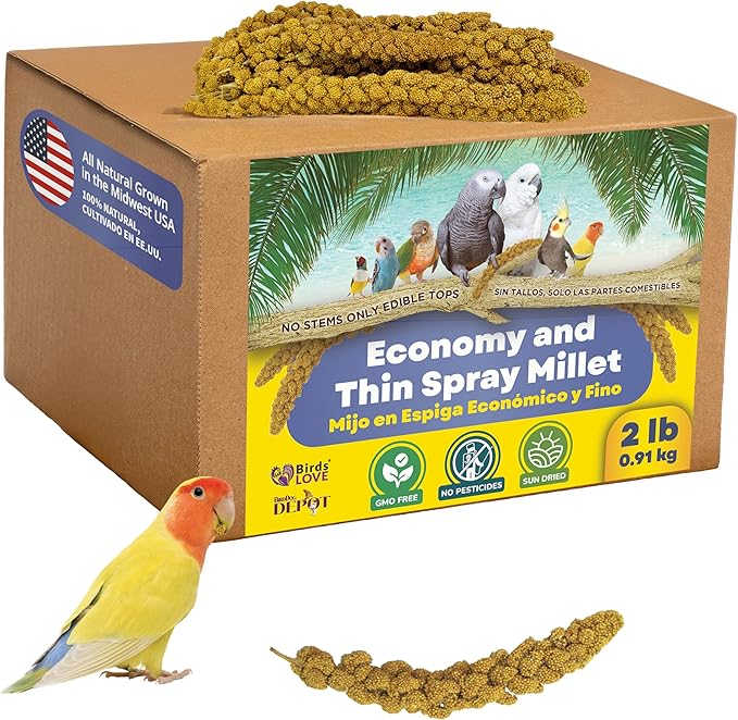 Birds LOVE Economy & Thin Special Spray Millet GMO-Free (No Stems Only Edible Tops) for Birds Cockatiel Lovebird Parakeet Finch Canary All Parrots Healthy Treat - 2lbs-PawvioPets