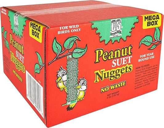 C&S Wild Bird Peanut Suet Nuggets Mega Box, 8 Pounds-PawvioPets