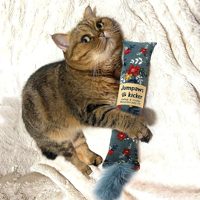 2 Pack Natural Interactive Catnip & Silvervine Cat Kicker with Feathers, Bite Resistant Chew Toy, Crinkle Kicker, Accessories for Indoor Cat, Premium Corduroy Floral-PawvioPets