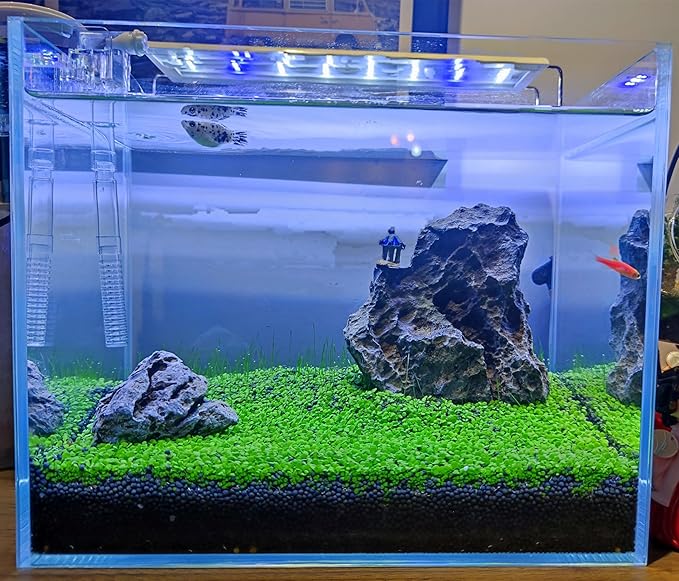 4 Pack Aquarium Plant S.e.e.ds, no Artificial Plastic Plant, Fish Tank Live Grass for All Substrate (0.36ozTiny+0.36oz Long+0.36oz Short+0.36oz Big Dual) ZQV-005-PawvioPets