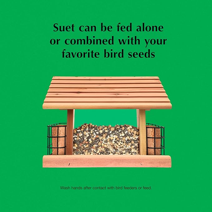 C&S Sunflower Suet Nuggets, Suet Nuggets for Wild Birds, 8 Lbs-PawvioPets