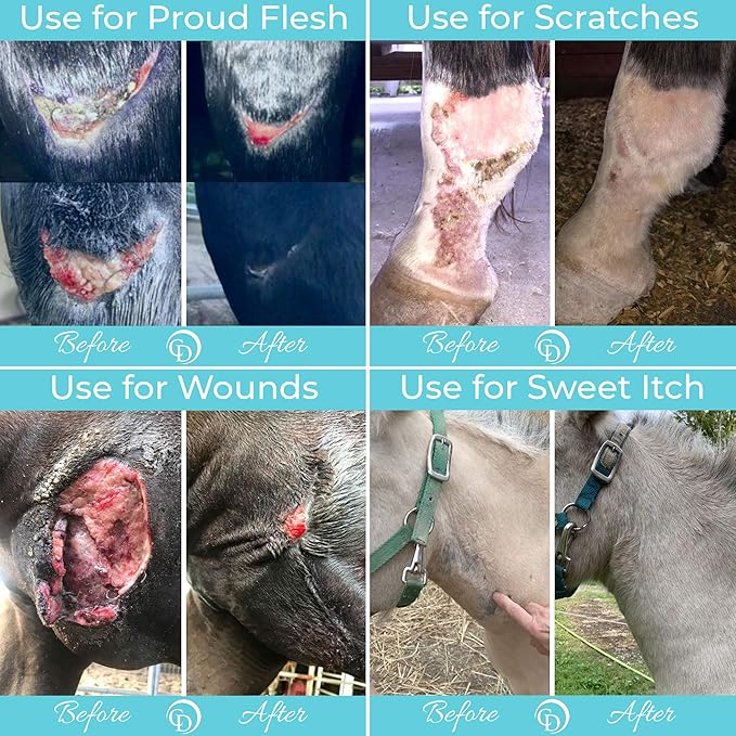 COAT DEFENSE Trouble Spot Drying Paste for Horses - Natural Equine Wound Care That Provides Safe & Effective Relief from Scratches, Sweet Itch, Summer Sores, Proud Flesh, Mud Fever, Girth Rot (24 Oz)-PawvioPets