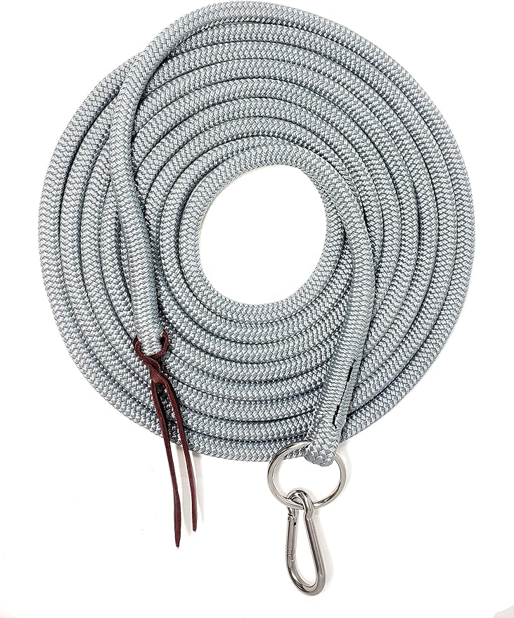 22' Long Line with SS O Ring and Carabiner (Grey)-PawvioPets