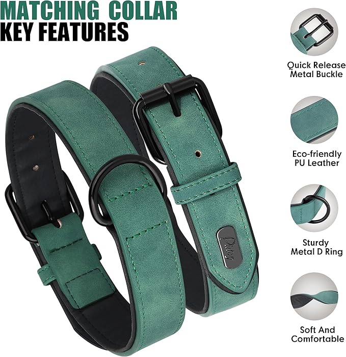 Didog Soft Padded Leather Dog Collar and Leash Set, Adjustable 4FT Faux Leather Dog Leash and Collar Set with Metal Buckle for Small Medium Large Dogs, Green, L-PawvioPets