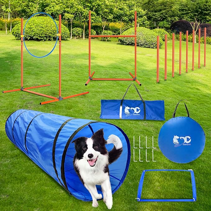 Dog Agility Training Equipment, Obstacle Agility Training Starter Kit for Doggie, Including Tunnel, 27 Weave Poles, Adjustable Hurdle, Jump Ring, Pause Box and Carrying Bag(Blue,L)-PawvioPets
