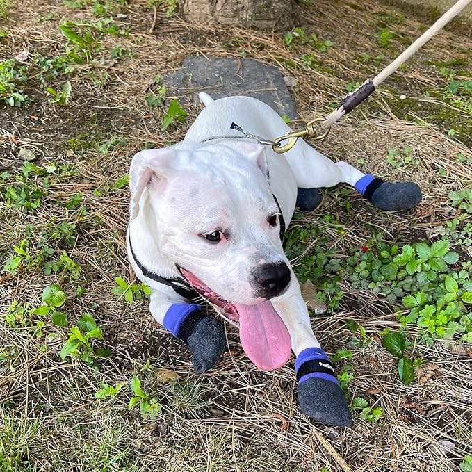 Double Dipped Thick Textured Waterproof Cotton Dog Socks | PawFlex Comfy Pawz Soft Indoor/Outdoor Pet Booties | Non-Slip Silicone Grip at Inner Wrist for No Twisting or Sliding Off| Adjustable Strap-PawvioPets