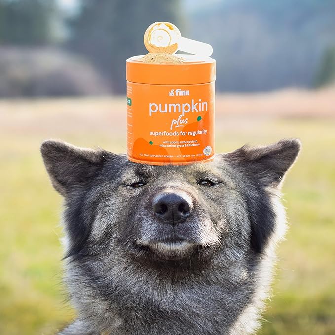 Finn Pumpkin Plus: Daily Digestive Support & Fiber-Rich Topper for Dogs | Promotes Regularity & Gut Health with Superfoods-PawvioPets