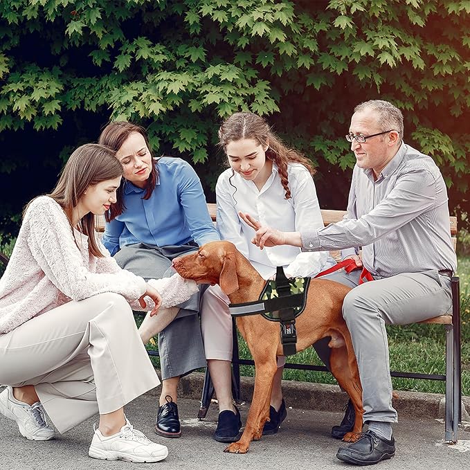 Dogline Dog Harness, Reflective No-Pull Adjustable Vest with Handle, Breathable No-Choke Harness for Small, Medium or Large Dogs Room for Patches Girth 27 to 34 in Green Camo-PawvioPets