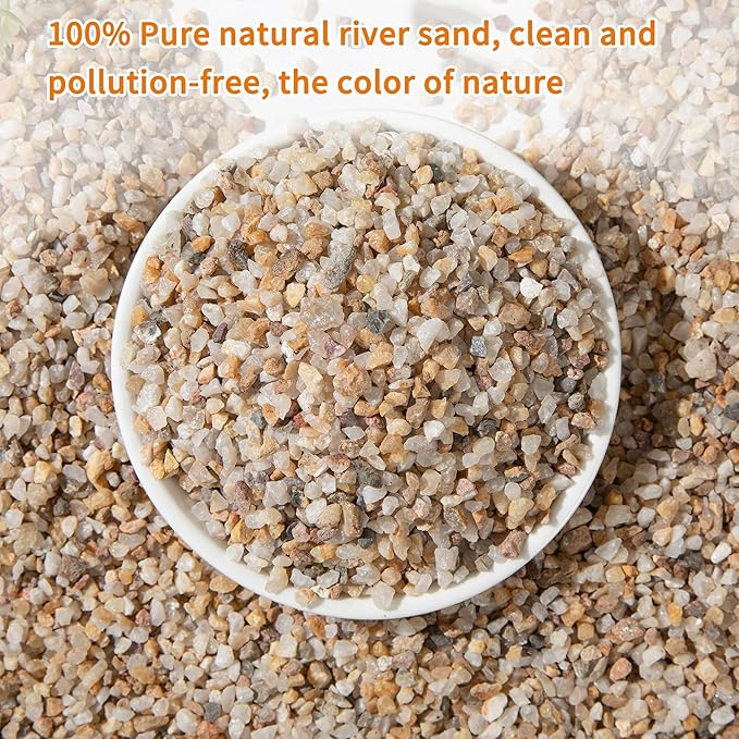 2lb Mixed Sand Rocks Pebbles Pumice Potting Soil Amendment Succulent Cactus Bonsai Gritty Rock Decorative Gravel for Succulents, Bonsai, Vase Fillers,Terrarium Plants-PawvioPets