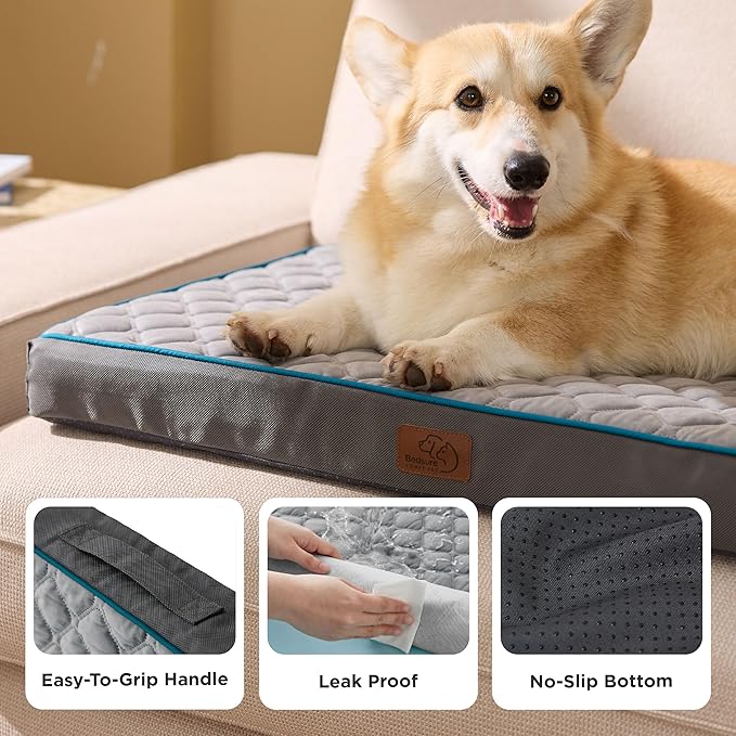 Bedsure Orthopedic Dog Bed for Medium Dogs - Flat Memory Foam Pet Mattress with Removable Washable Cover and Egg Crate Foam, Suitable for Pet Up to 35 lbs, 30x20x3 Inches, Grey-PawvioPets
