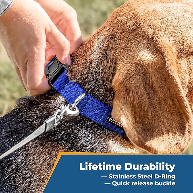 GoTags Personalized Dog Collar, Custom Embroidered with Pet Name and Phone Number in Blue, Black, Pink, Red and Orange, for Boy and Girl Dogs or Cats, Adjustable Sizes, Small, Medium, and Large-PawvioPets