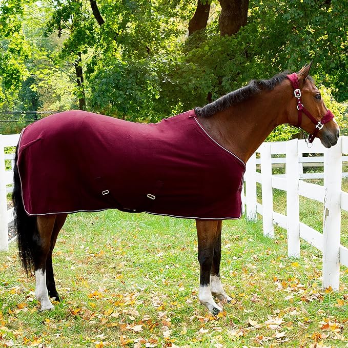 HORZE Kiel Adjustable Horse Halter with Fleece Padding - Dark Red - Cob-PawvioPets