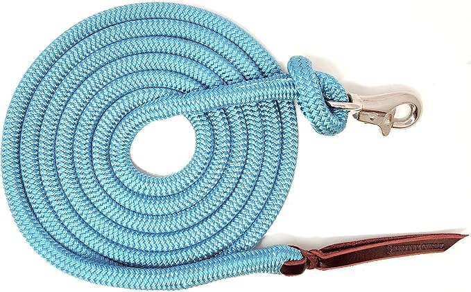 12FT Lead Rope with NP Snap-PawvioPets
