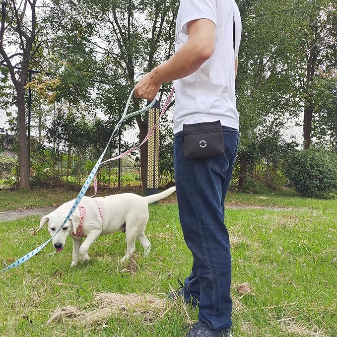 COOWONE Dog Treat Pouch with Pet Training Clicker, Detachable Dog Puppy Training Treat Bag, 900D Oxford Cloth Magnetic Closure Small Dog Poop Bag Holder for Travel or Outdoor Use-PawvioPets