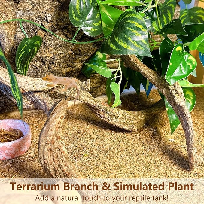 BNOSDM 3 Pcs Reptile Climbing Branches Decor,Snake Climbing Branch,Gecko Climb Wood,Lizard Forest Branch,Tank Habitat Tree Trunk Decorations for Bearded Dragons,Chameleons,Spider,Frogs (S)-PawvioPets