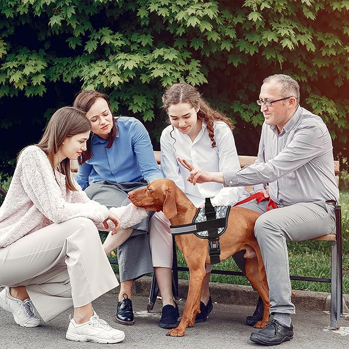 Dogline Dog Harness, Reflective No-Pull Adjustable Vest with Handle for Walking, Training, Breathable, No - Choke Harness for Small, Medium or Large Dogs Room for Patches Girth 33"-46" in Urban Camo-PawvioPets