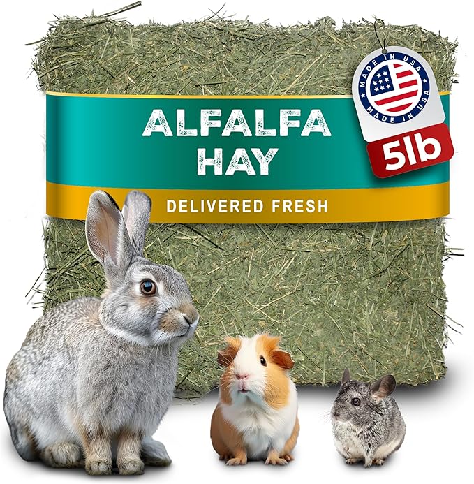 5lb Freshly Dried Organic Alfalfa Hay for Guinea Pigs, Rabbits, Chinchillas, Goats, Hamsters & Ferrets, Small Animal Food Rich in Protein & Fiber, Hand-Selected, Hand Sorted, USA Grown-PawvioPets