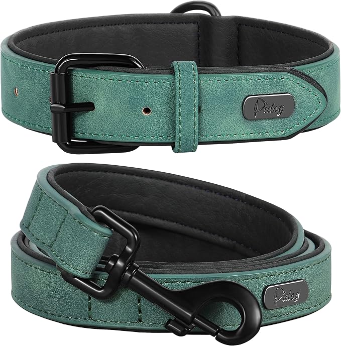 Didog Soft Padded Leather Dog Collar and Leash Set, Adjustable 4FT Faux Leather Dog Leash and Collar Set with Metal Buckle for Small Medium Large Dogs, Green, L-PawvioPets
