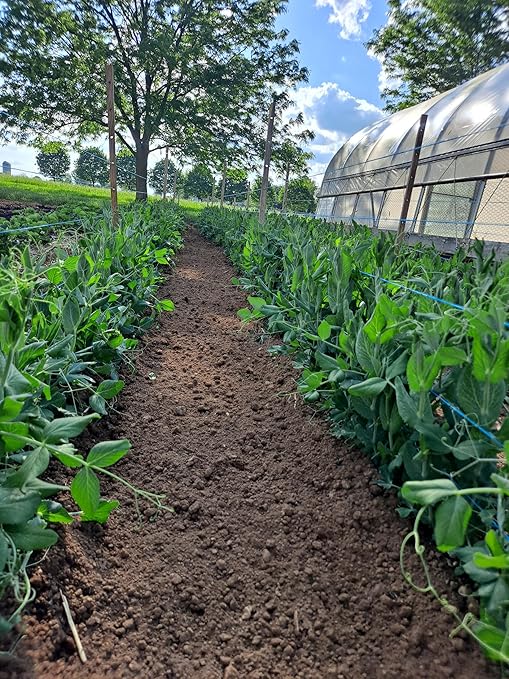 Alfalfa Meal Pellets 16 Pounds Organic Fertilizer for Flowers, Vegetables & Trees - Ideal Rabbit Food, Hamster Food, Timothy Hay Alternative - Lancaster Agriculture Products (16 Pounds)-PawvioPets